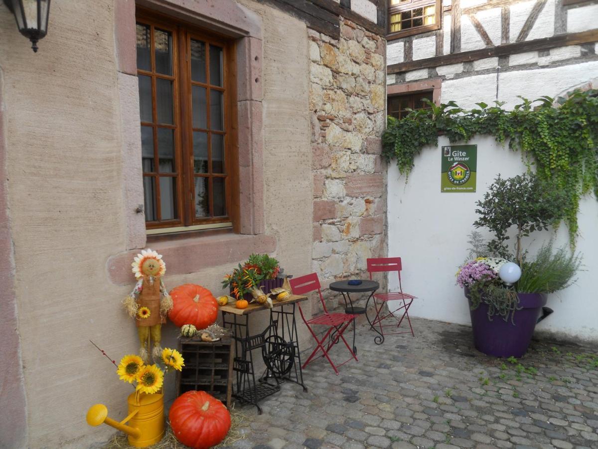 Le Winzer Appartement Bergheim Buitenkant foto
